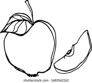 Äpfel-Linie auf weißem Hintergrund Vektorillustration Skizze der Obstbio-Illustration Gesundheitssymbol Diät Obst gesunde leckere Blätter Single-line-Lebensmittel natürliche Vektorillustration süvegetarisch