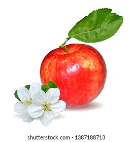 Apples low poly. Bloom of apple. Fresh, nutritious, tasty apple. Delicious and healthy dessert. Elements for label design. Vector illustration. Aplles ingredients in triangulation technique.