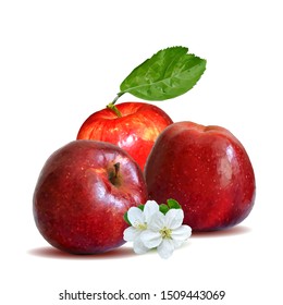 Apples low poly. Bloom of apple. Fresh, nutritious, tasty apple. Delicious and healthy dessert. Elements for label design. Vector illustration. Aplles ingredients in triangulation technique.