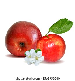 Apples low poly. Bloom of apple. Fresh, nutritious, tasty apple. Delicious and healthy dessert. Elements for label design. Vector illustration. Aplles ingredients in triangulation technique.