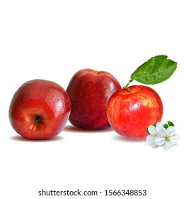 Apples low poly. Bloom of apple. Fresh, nutritious, tasty apple. Delicious and healthy dessert. Elements for label design. Vector illustration. Aplles ingredients in triangulation technique.