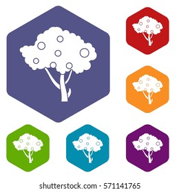 Apples on apple tree branches icons set rhombus in different colors isolated on white background