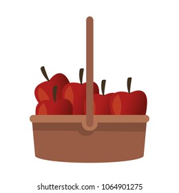 Apples on basket