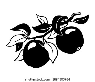Manzanas en rama. Clíparte de silueta dibujada a mano de fruta de jardín. Ilustración simple negra para el diseño de envases. Impresión botánica, afiche, elemento para el producto ecológico. Vector plano aislado, fondo blanco