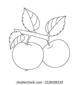 Apples on a branch. Simple contour drawing. Coloring book for children. Decorative element for printing