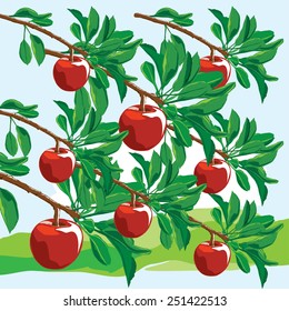 Apples on branches with foliage. Vector illustration.