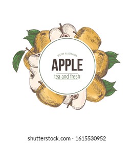 Apples on an isolated background. Frame of apples, a piece of Apple on a white background. Hand illustration. Concept: label for juice, tea; dried fruits, packaging; banner on the site. Vector. EPS 10