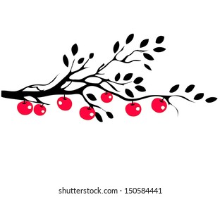 Apples on tree branch