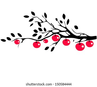 Apples on tree branch