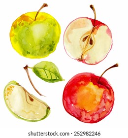 Apples painted with watercolors on white paper. Red apple, green apple, leaf, half an apple. Vector watercolor