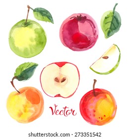 Apples painted with watercolors on white paper. Red apple, green apple, leaf, half an vector apple