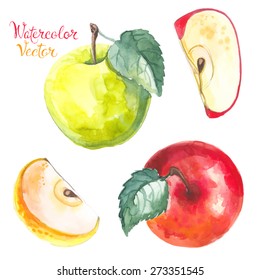 Apples painted with watercolors on white paper. Red apple, green apple, leaf, half an vector apple