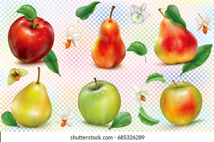 Apples and pears of different colors on a transparent background. Realistic vector illustration