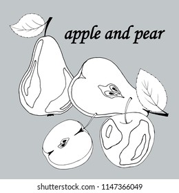 apples and pears are drawing in the graph