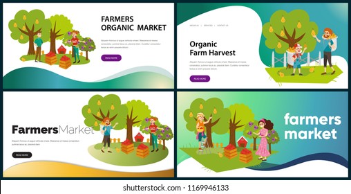 Apples pears plums picking flat set