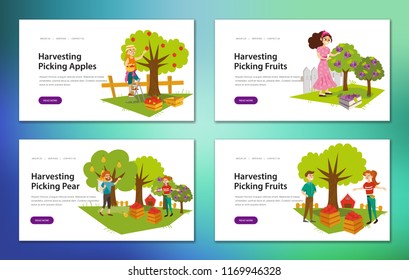 Apples pears plums picking flat set