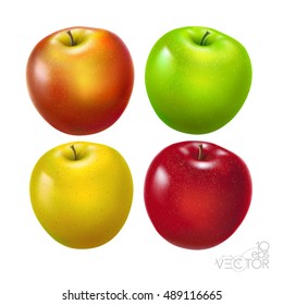 Apples. Red apple, green apple, yelliw apple and orange apple.