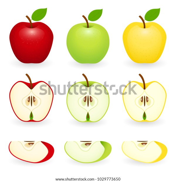 赤 緑 金色のリンゴとスライス 白い背景にベクターイラスト リンゴの切れ端 のベクター画像素材 ロイヤリティフリー