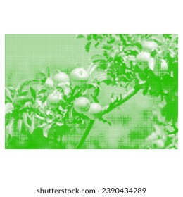 Apples ripe on tree branch among leaves, from green circle dots of different sizes on white background