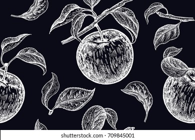 Apples. Seamless background with fruits. White chalk on black board. Vector illustration art. Vintage engraving. Realistic hand drawing. Template with nature motifs for kitchen design. Vegetarian food