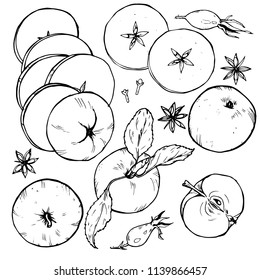 Apples set, fruit whole and cut into slices, berries and spices, black and white vector illustration