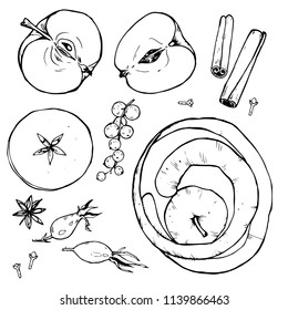 Apples set, fruit whole and cut into slices, berries and spices, black and white vector illustration