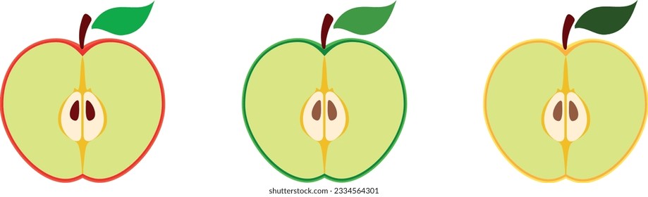 Apples. Set of red, green, bitten and half of fruit with leaf. Vector illustration. Isolated