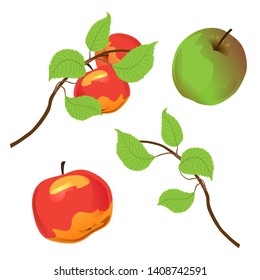 Apples and tree branch set. Vector illustration. Isolated object on white background. Thanksgiving Day.