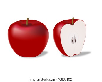 Apples Vector illustration of red apples realistic shading and coloring ...