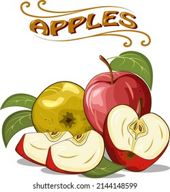 Apples in vector illustration.Colored vector illustration with whole and cut apples on a transparent background.