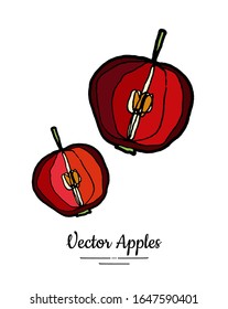 Apples vector isolated. Red fruits hand drawn illustration. Trendy food vegetarian menu fruit logo icon. Whole apples. Sweet organic fruits illustration. Vector natural apple isolated white background