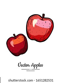 Vector de manzanas aislado. Frutos rojos ilustrados a mano. Icono del logo de menú vegetariano a la moda. Manzanas enteras. Dulce ilustración de frutas orgánicas. Fondo blanco aislado de manzana natural