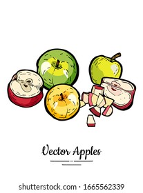 Apples vector isolated set. Red green yellow fruits hand drawn illustration. Trendy food vegetarian menu fruit logo icons. Sweet organic fruits illustration. Whole, chopped apples leaves. Vector apple