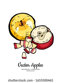 Äpfel Vektorillustration einzeln. Ganze, halb zerschnittene, geschnittene Äpfel. Rot-gelbe Frucht, handgezeichnet. Trendy Essen vegetarische Speisekarte Obst Logo. Süße Früchte Illustration. Vektorillustration Apfel, weißer Hintergrund