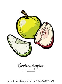 Apples vector isolated set. Whole quarter cut chopped apples. Red green fruit hand drawn illustration. Trendy food vegetarian menu fruit logo. Sweet organic illustration. Vector apple white background