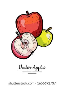 Apples vector isolated. Whole, half cut apples. Yellow green red fruits hand drawn illustration. Trendy food vegetarian logo. Sweet organic fruit illustration. Natural apples isolated white background