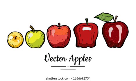 Äpfel Vektorillustration einzeln. Ganze Äpfel mit Blatt. Gelbe grüne Früchte, handgezeichnet. Trendy Food vegetarisches Logo. Süße Bio-Früchte-Illustration. Natürliche Äpfel einzeln auf weißem Hintergrund