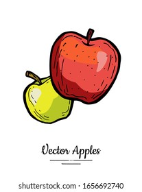 Apples vector isolated. Whole apples. Red green yellow fruits hand drawn illustration. Trendy food vegetarian menu logo icon. Sweet organic fruit illustration. Natural apples isolated white background