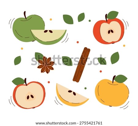 Apples. Vector set of fresh apples, slices, cinnamon sticks, and star anise isolated on white. Great for cider, baking, or autumn harvest themes. Hand drawn organic food illustration.
