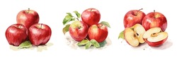 Apples, Watercolor Painting Style Illustration. Vector Set.