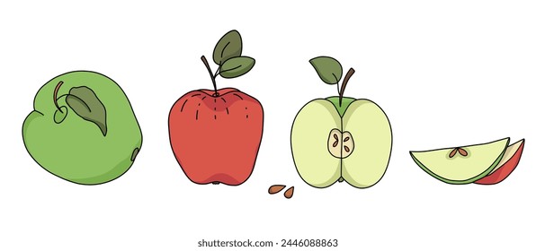 Apples. Whole apple, half apple, apple slice. Doodle stylistic illustrations.