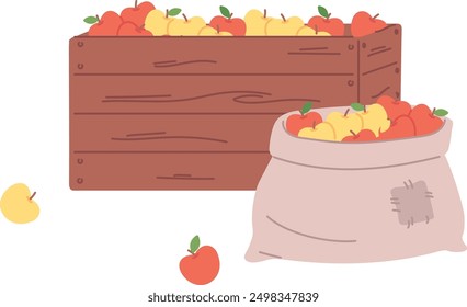 Apples in wooden box and canvas sack. Garden harvest illustration isolated on white background