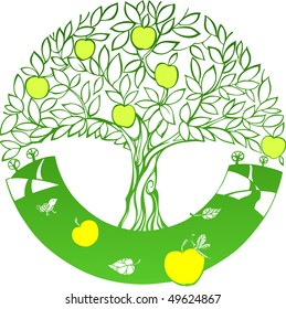 apple-tree