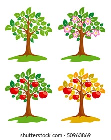 Apple-tree at different seasons. EPS8 vector.