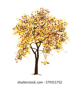 The apple-tree with red apples on a white background
