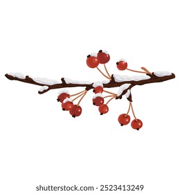 appletree, tree branch with fruits in winter with snow, isolated at white background, hand drawn illustration
