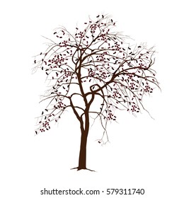 The apple-tree in the winter with fallen leaves and the remains of apples