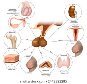 Application error: a client-side exception has occurred (see the browser console for more information).