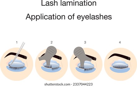 Wimpernschlag. Lash-Laminierverfahren. Heben von Leinen.