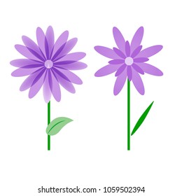 Application of flowers, vectorial image, can be used as stickers and when decorating advertising, printing and websites